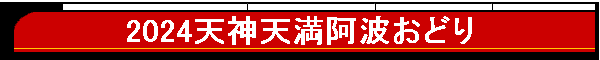 2024V_Vgǂ